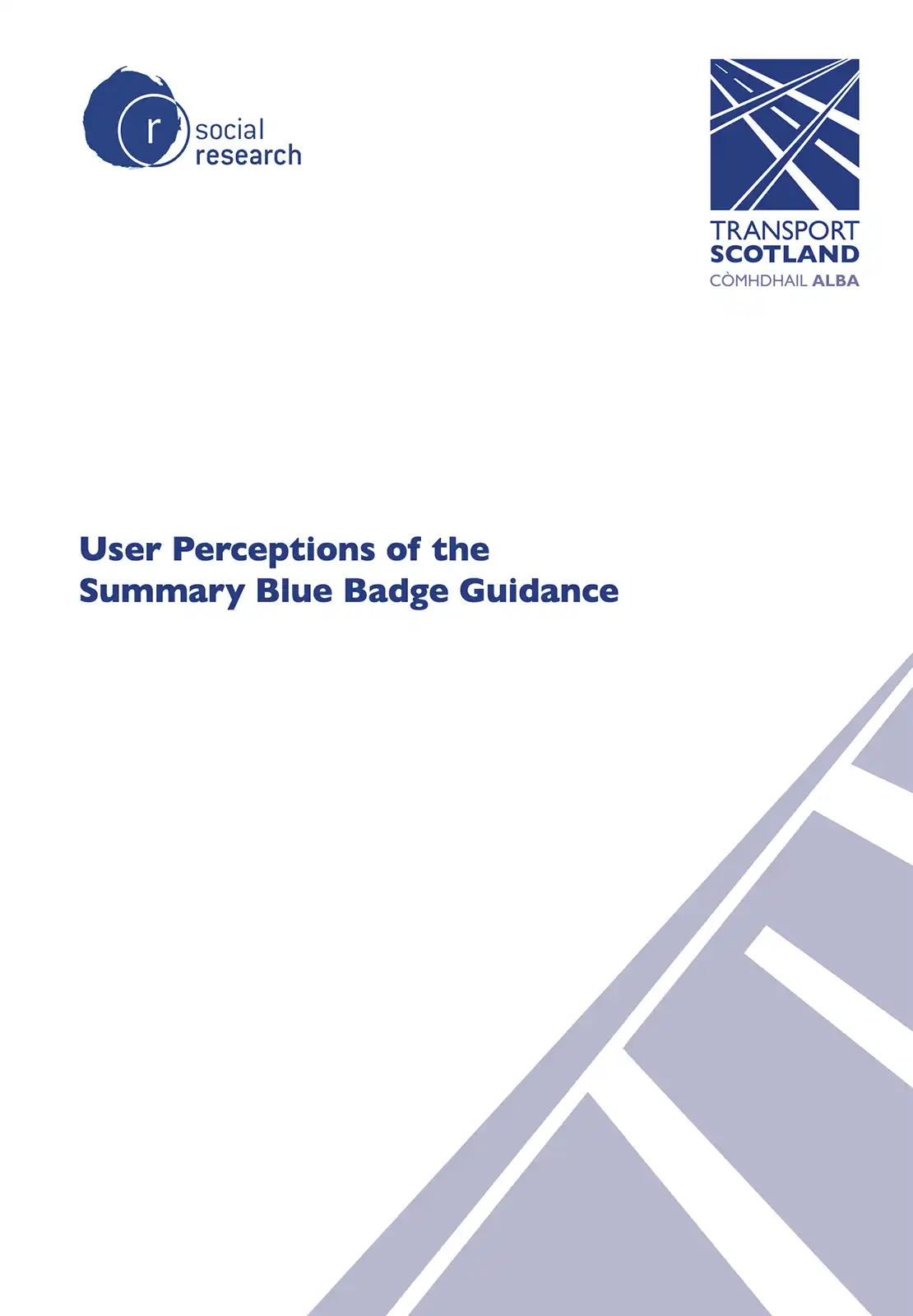 User Perceptions of the Summary Blue Badge Guidance